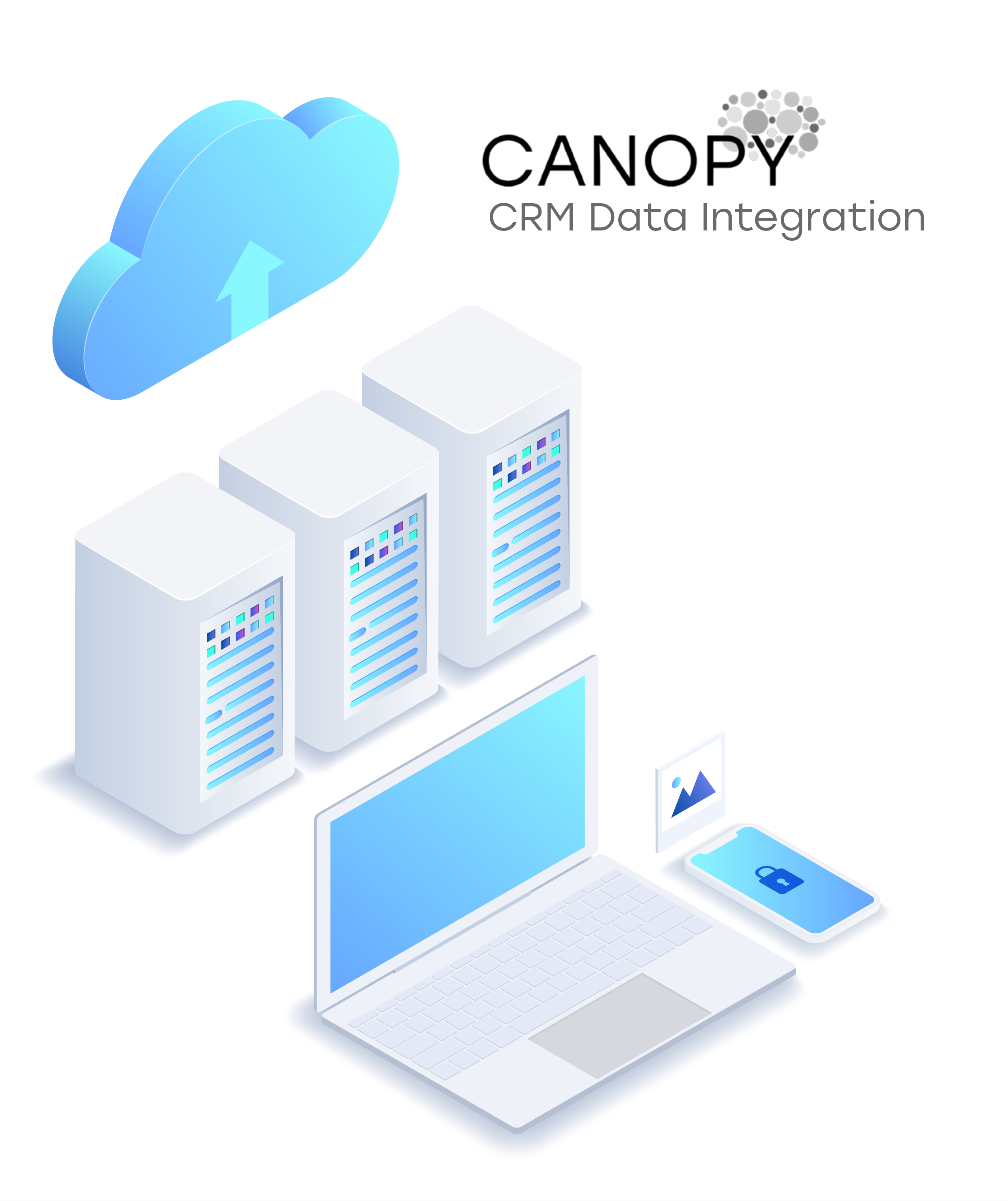 Datorama Canopy IQ Case Study 1, Canopy